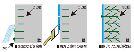 従来のカビ塗料処理