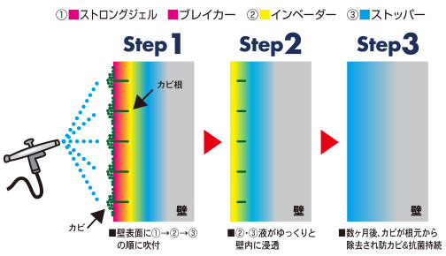 カビ処理革命によるカビ処理