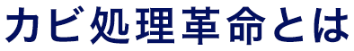 カビ処理革命とは